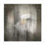 Art sur toile Lightboxjour-1089804012