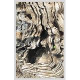 Natural Texture Series 4' Framed Photographic Print on Glass