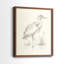 Étude de croquis Waterbird I-Premium, impression encadrée - prête à être accrochée - aucun clou requis-1498745797-1498745818