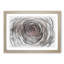 Pink Rose Flower Vol.3 - Picture Frame Drawing-62804211-62804210