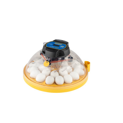 Chicken Egg Incubator For Up To 20+ Eggs