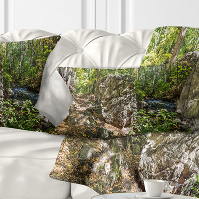 Huge Rock in Black River Shore - Landscape Printed Pillow