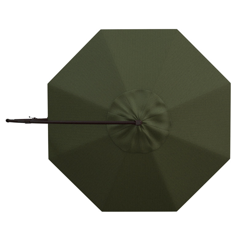 Parasol, Performance fougère de terrasse