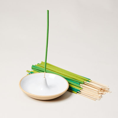 Pantry Plant / Floral Reed Diffusers And Sticks
