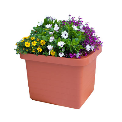 Kacelynn Planter Box