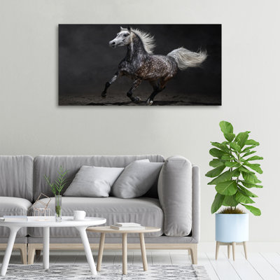 Gray Arabian Horse 1 Piece Wall Art on Canvas