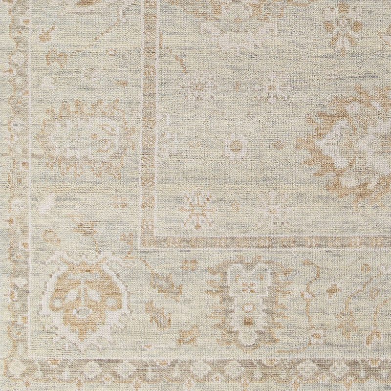 Biscayne Wool Oriental Area Rug in Tan, Rectangle 9' x 13'