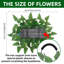 18cm Plant