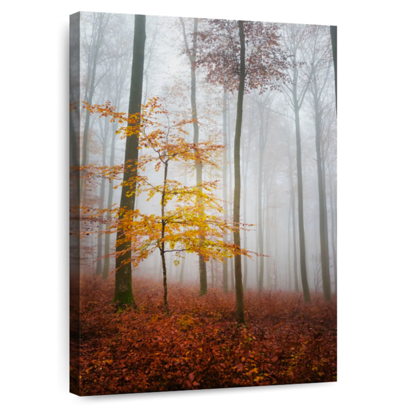 Paysage d'automne brumeux Alvord, H 24 po x l 16 po