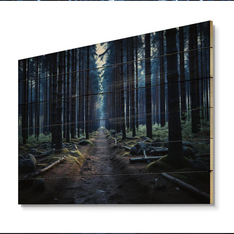 Sentier bleu vers la forêt sur bois, H 24 po x l 32 po x P 0,78 po
