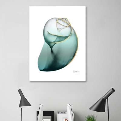 Shimmering Snail 3 - impression sur toile tendue