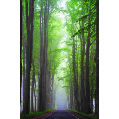 " Foggy Road "