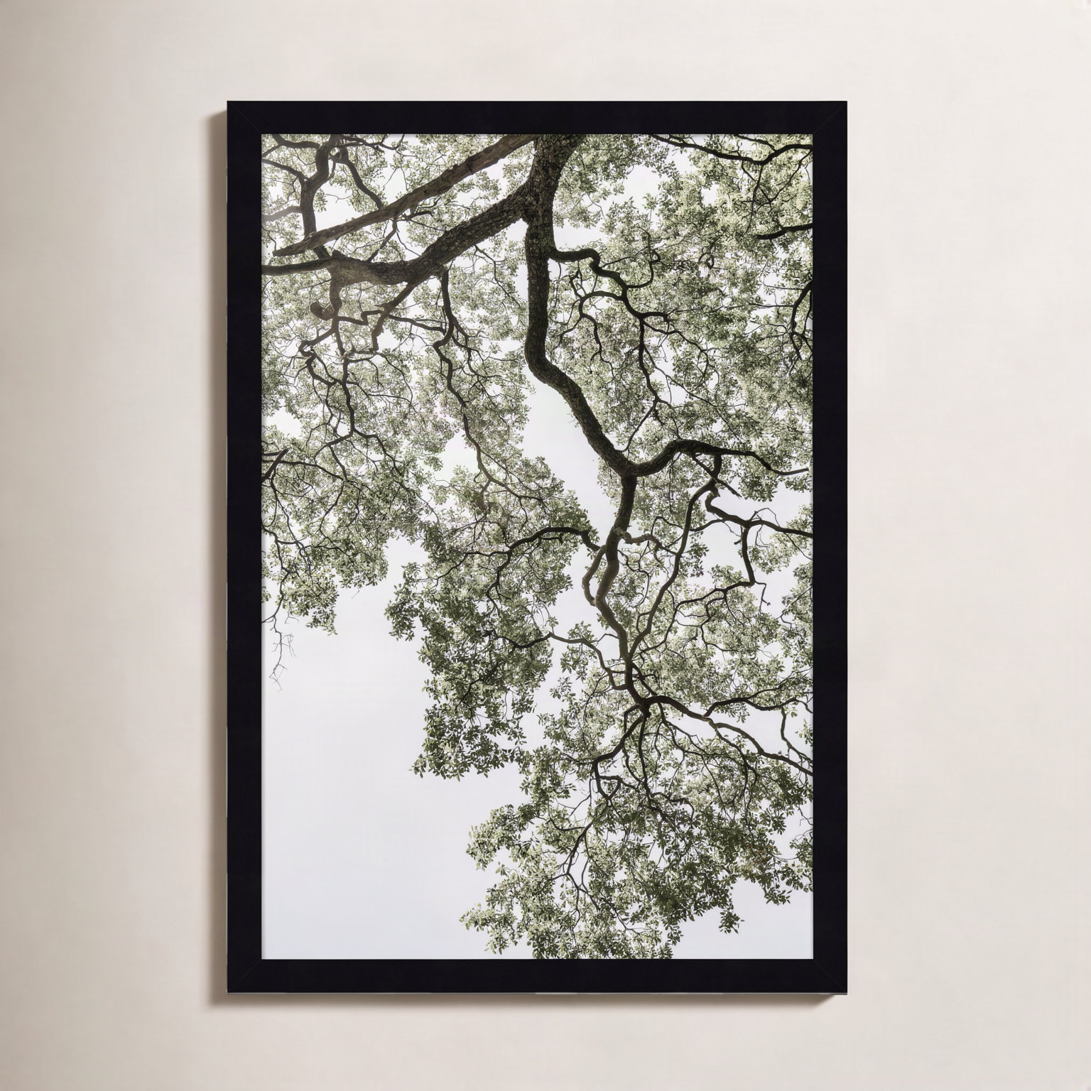 Pleasantville "Coastal Forest" Print, Black, 21" H x 15" W