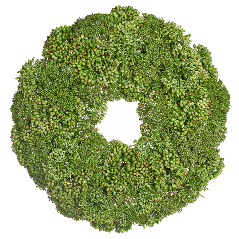 Couronne de 19 po Sedum / Skimmia