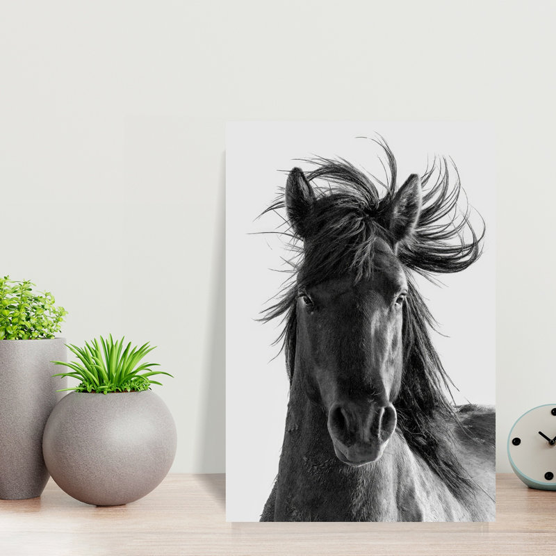 Print, 45.72cm H x 30.48cm W
