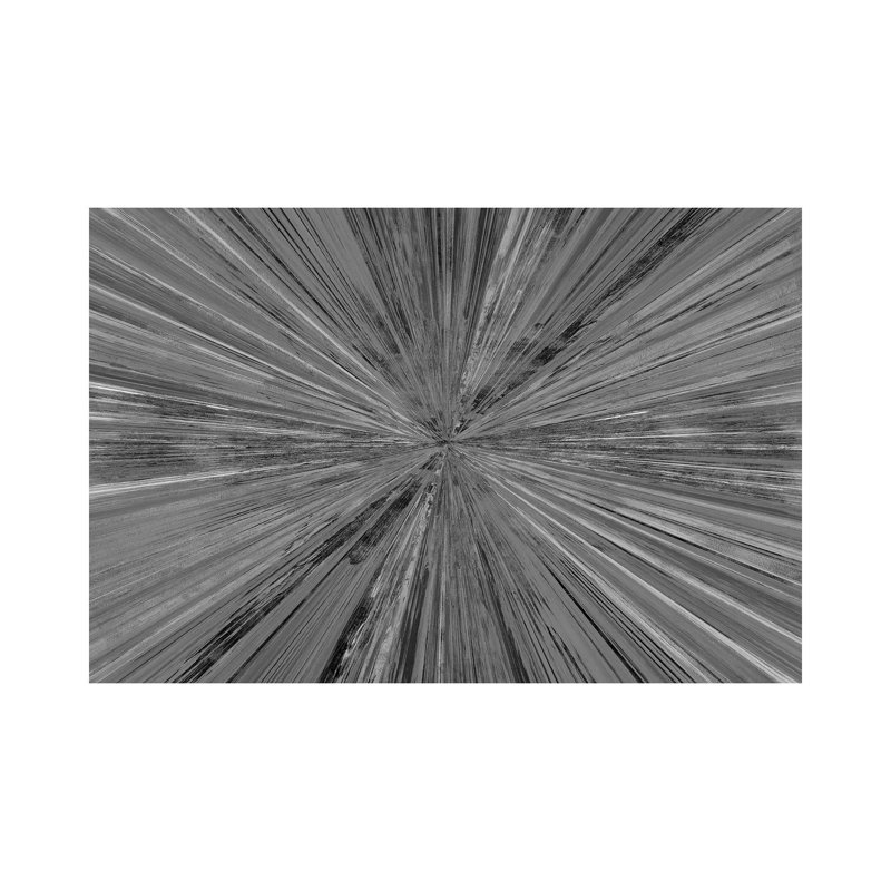 Lumière chatoyante I, H 12 po x l 18 po, Noir / blanc inversé