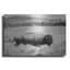 "Buffalo I BW" par Debra Van Swearingen-1689363124