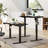 Electric Standing Desk, Adjustable Height Stand Up Desk, Ergonomic Rising Computer Table With Memory Preset, Sit Stand Up Desktop For Home Office