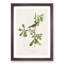 Roscoes Yellow-Throat Bird by John James Audubon - Picture Frame Graphic Art Print-55610680-55610681