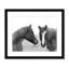Wild Pastures by Carol Robinson-63616315-63616323