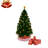Tree Collar