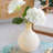 D8x11" Glass Vase