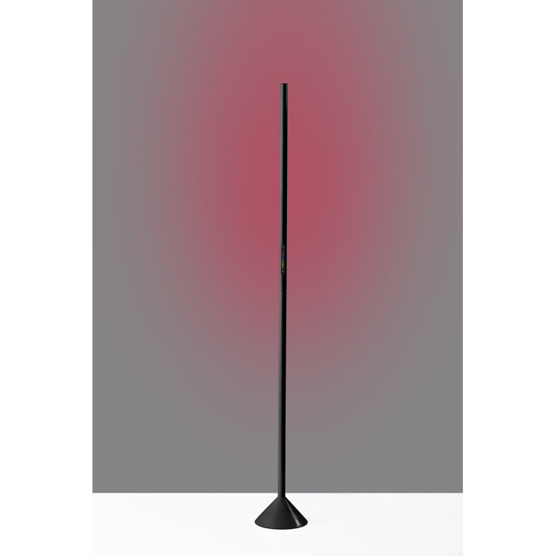 Leif 58'' LED Novelty Floor Lamp, Matte Black