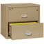 Fireproof 2 - Drawer File Cabinet-331546-217205