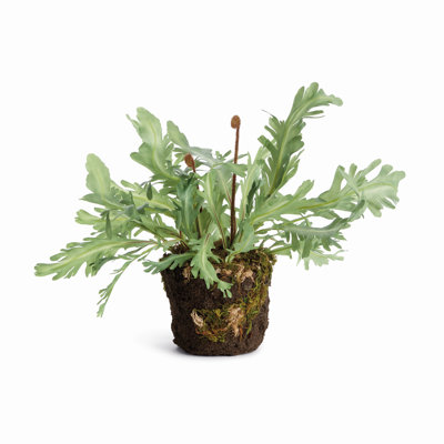 Davallia Realistic Faux Rabbit Foot Fern Drop-In 13.5 in.