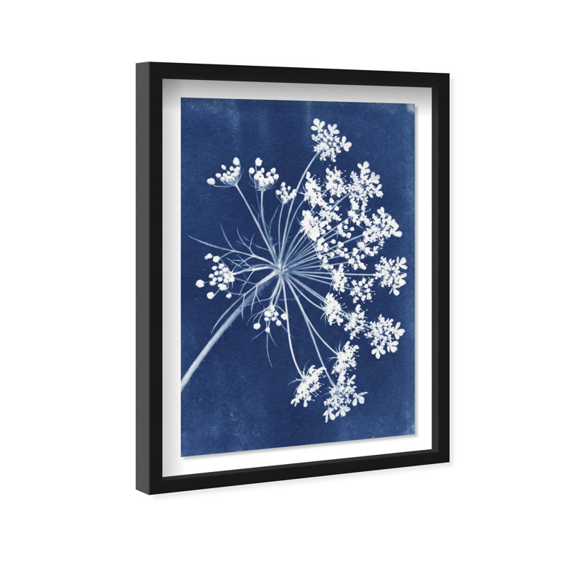 Queen Lace Print by Oliver Gal, 17.5"H x 25.5"W, Black Shadowbox