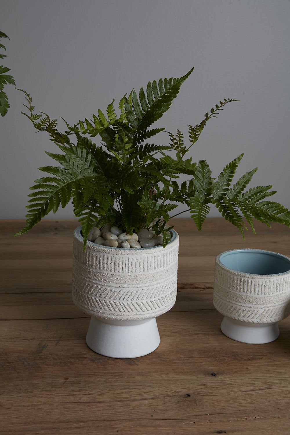 Ceramic Pot Planter, 4.25" H x 4.5" W x 4.5" D