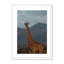 Giraffe 3 by Jade Hammer-763431936-763431937