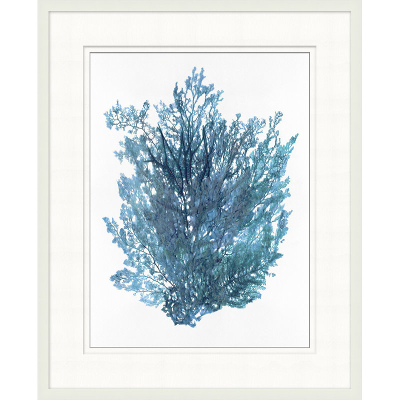 Indigo Seagrass 1 Print