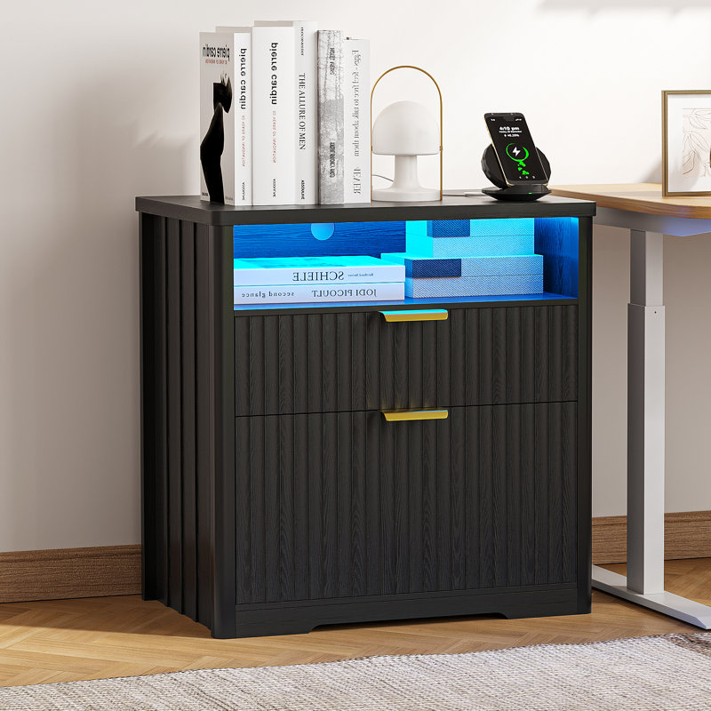 73cm Wide 2 -Drawer File Cabinet, Black