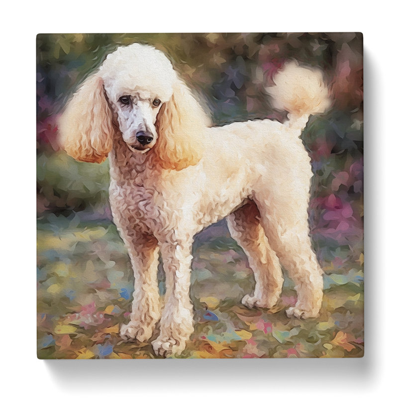 Poodle Post-Impressionism - Wrapped Canvas - Framed Print, 50cmH x 50cmW