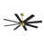 Gold with Black Blades