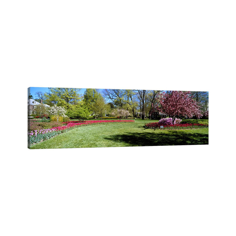 Tulips And Cherry Trees In A Garden, Sherwood Gardens, Baltimore, Maryland, USA - Wrapped Canvas Panoramic Print