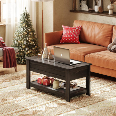 Auddis Modern 39" Lift Top Coffee Table with Storage Shelf