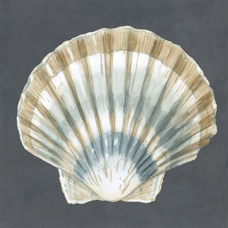 Coquillage sur ardoise III, H 12 po x l 12 po