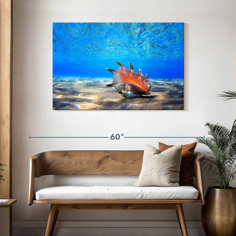 Seashell treasure Aletra, H 30 po x l 45 po