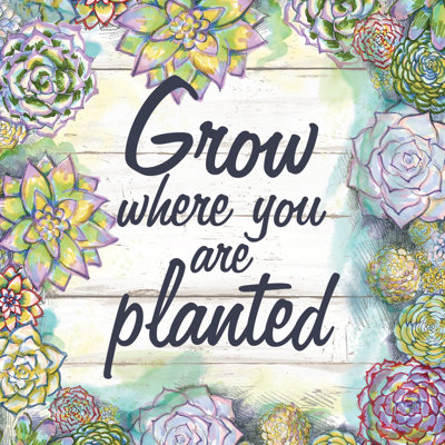 Succulents Grow Wheyou Aplanted 1 Piece Wrapped Canvas Wall Art