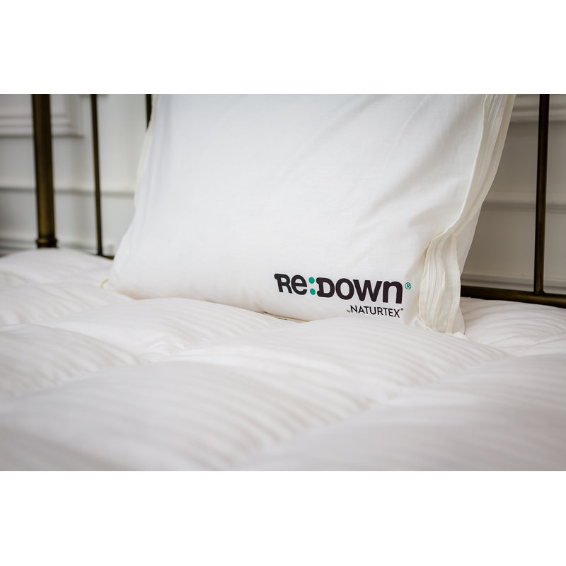 ReDown All Season Down Comforter, Queen