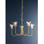 Montclair 5 Light Chandelier