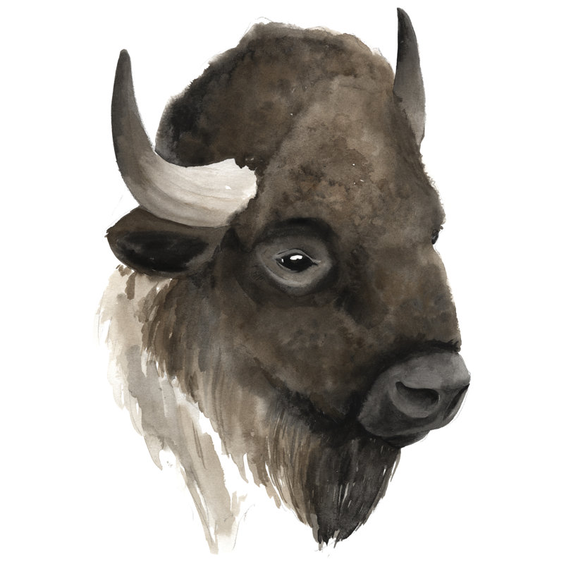 Western Animal Study IV by Grace Popp - Wrapped Canvas Painting, 122cm H x 122cm W