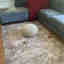 Photos des clients 1 de 1