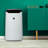 Sharp Tower Air Purifier with True HEPA Filter for 502 Cubic Feet