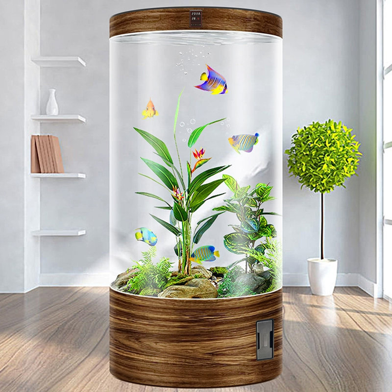 Aquarium 30-38 gallons, 38 gallons (H 55,12 po x l 15,75 po x P 15,75 po)