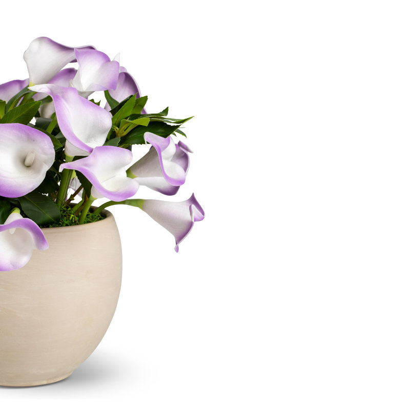 Arrangement de callas Nadine RealTouch