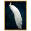 Habillé de plumes - impression-72500299-119403335-72500298