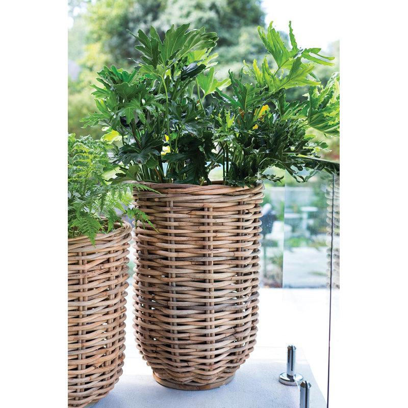 Cache-pot en rotin Averlee Kaya, H 32,25 po x l 22 po x P 22 po